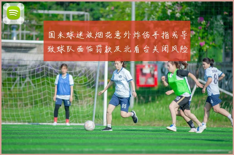 国米球迷放烟花意外炸伤手指或导致球队面临罚款及北看台关闭风险