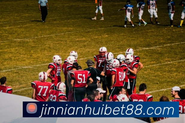 金年会平台生态图