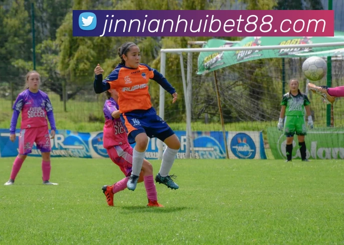 金年会APP 封面图